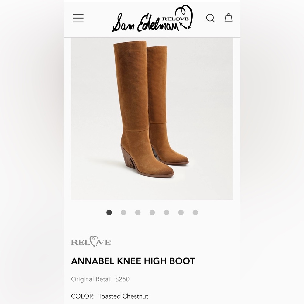 NWOT Sam Edelman Annabel Knee High Boot